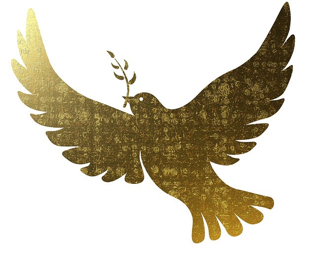 peace dove
