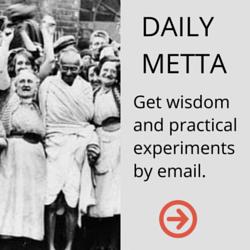 Daily Metta 250x250