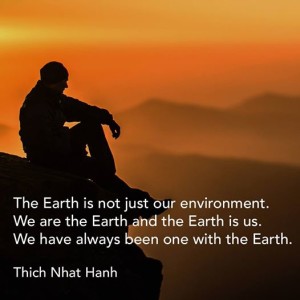 TNH Earth